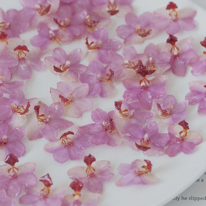 Perlengkapan Kerajinan Resin A - Jewelry Making Event ulasan dan harga